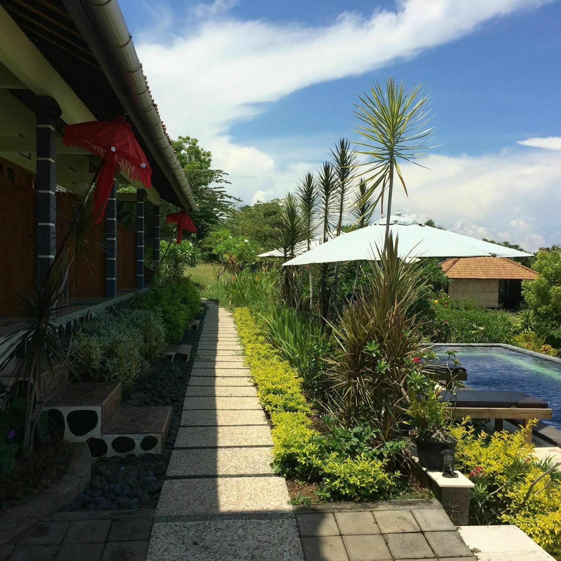 Bali Natur Lovina Exterior foto